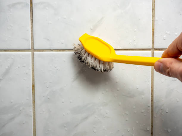 Best Professional Mold Removal  in Kingwood, WV