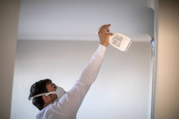 Best Residential Mold Removal  in Kingwood, WV